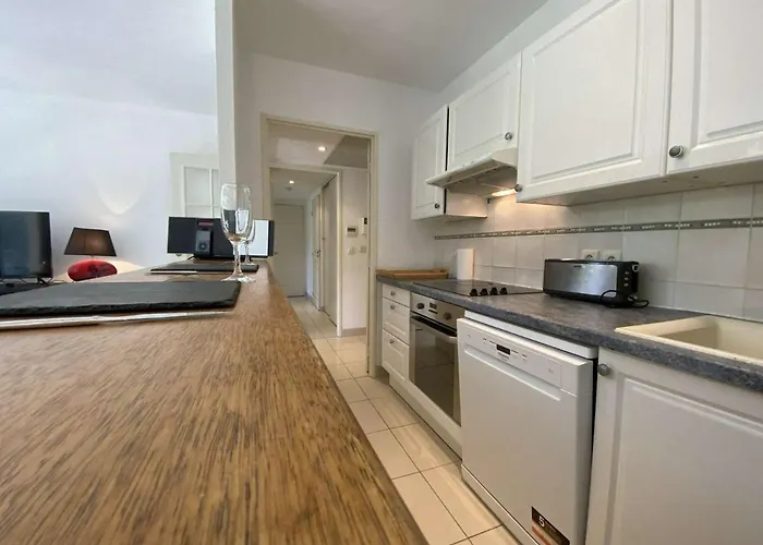 Lägenhet 3p Avec Terrasse Et Garage, A 10min Des Plages De Juan-les-pins - Fr-1-252-171 Antibes